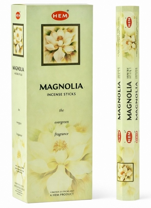 kadzidełka magnolia